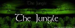 jungle2_sml.jpg (12491 bytes)